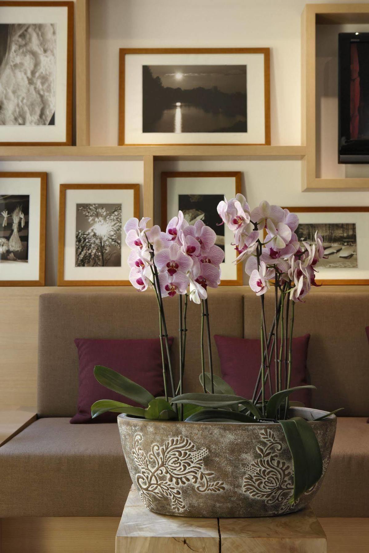 Logis Hotel Kur- Und Wellnesshaus Spree Balance Burg Kültér fotó